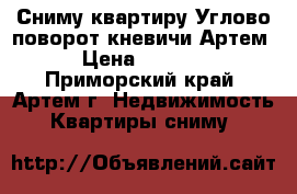 Сниму квартиру Углово-поворот,кневичи,Артем. › Цена ­ 25 000 - Приморский край, Артем г. Недвижимость » Квартиры сниму   